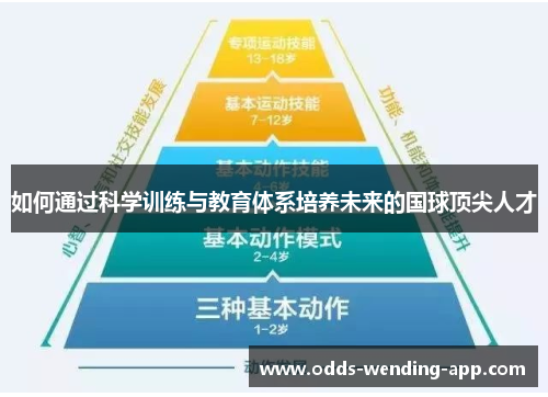 如何通过科学训练与教育体系培养未来的国球顶尖人才